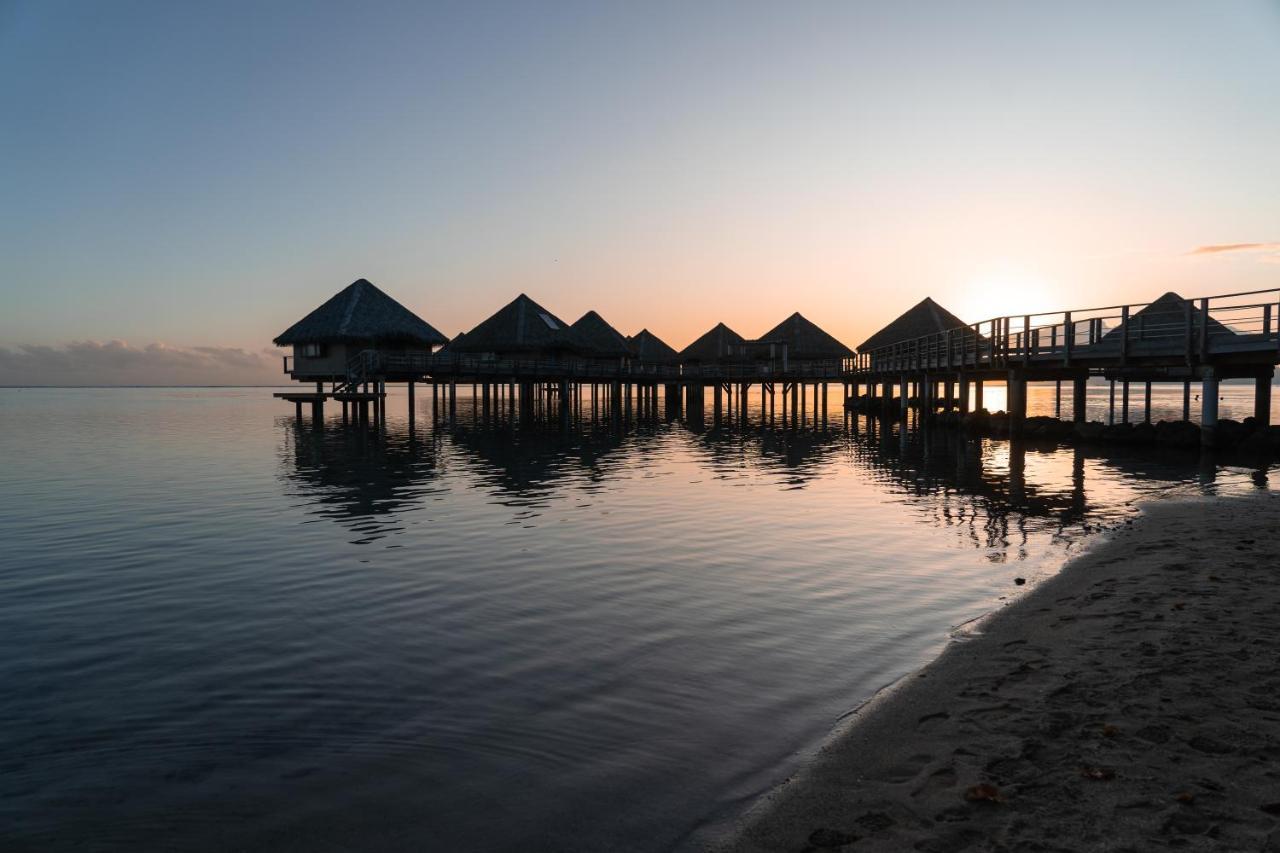 Douceur Tropicale Proximite Plage Et Commerces プナアウィア エクステリア 写真