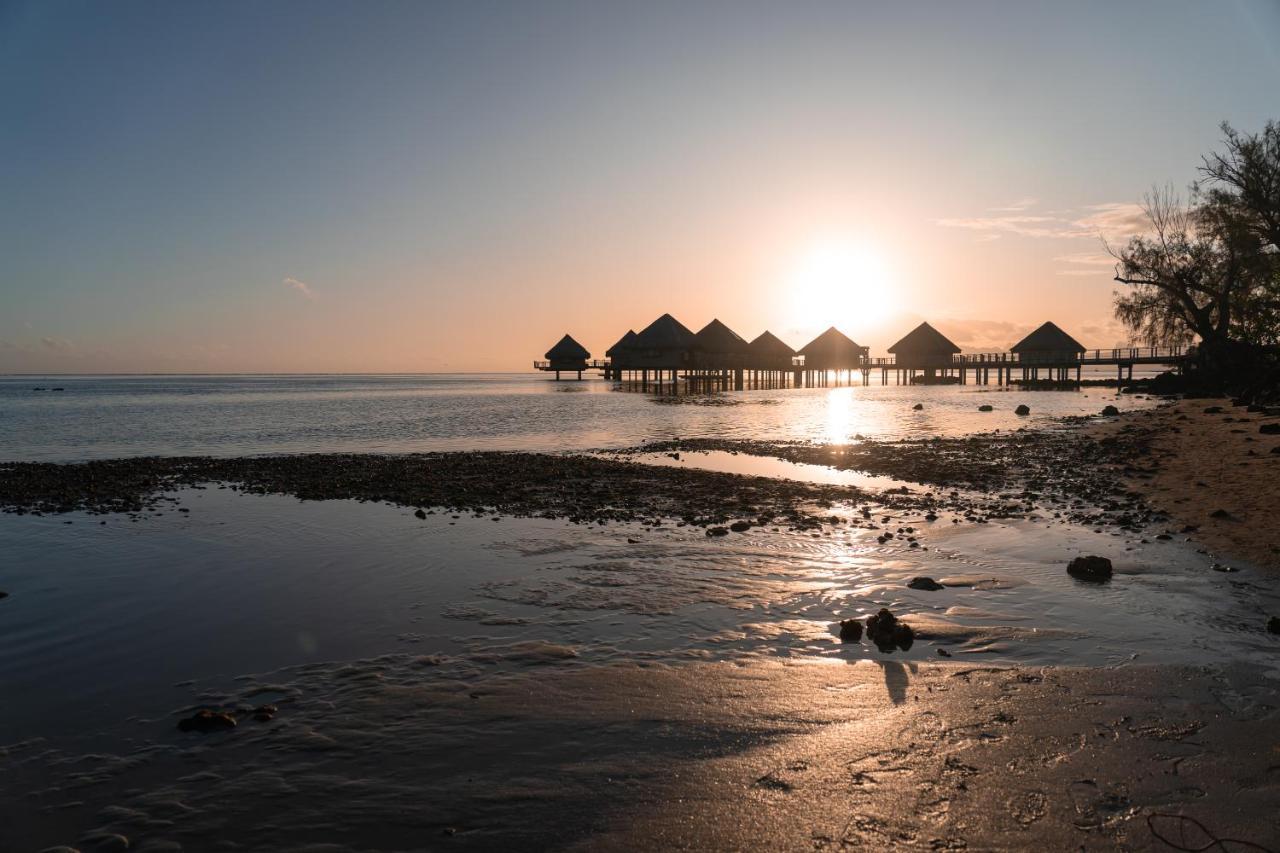 Douceur Tropicale Proximite Plage Et Commerces プナアウィア エクステリア 写真