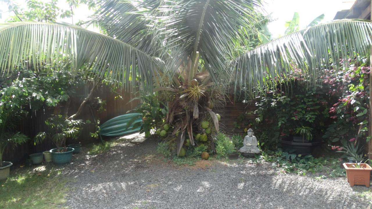 Douceur Tropicale Proximite Plage Et Commerces プナアウィア エクステリア 写真